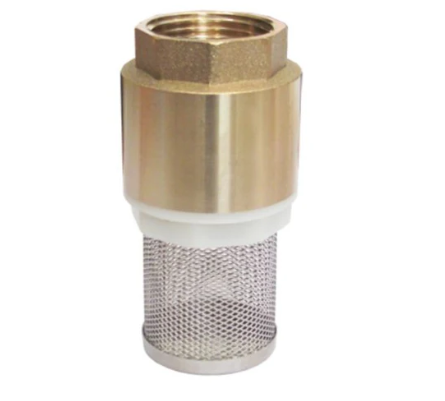 VALVULA CHECK 1 C/CANASTILLA ACERO 